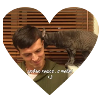 🌟 emoji Импровизаторы @Hasnuts_at Telegram sticker 8 of 31