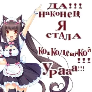 🐈‍⬛ emoji Агро няшки Telegram sticker 21 of 43