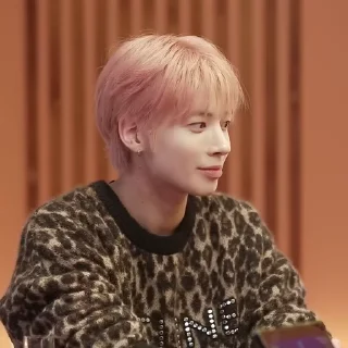 🐈 emoji @drmoaxt   -   taejuns ៸ 🐈 Telegram sticker 15 of 50