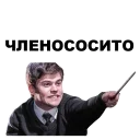 🍆 emoji Гарри Поттер @eeZee_stickers Telegram sticker 23 of 59