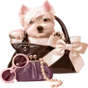 👜 emoji Dogs @StikerDi Telegram sticker 7 of 40