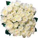 💐 emoji Цветы @StikerDi Telegram sticker 8 of 20