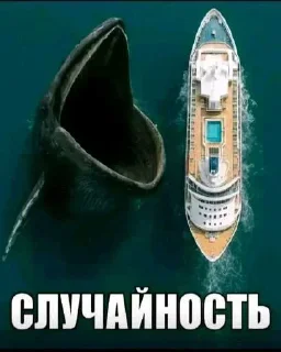 Sticker from Полезные стикеры