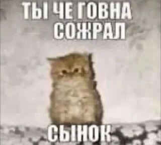 Sticker from Гаддэм