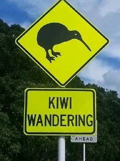 ⚠️ emoji Kiwi ptica Telegram sticker 21 of 47