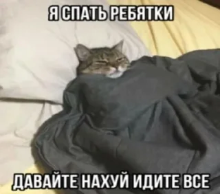 🌟 emoji нигермания Telegram sticker 14 of 37