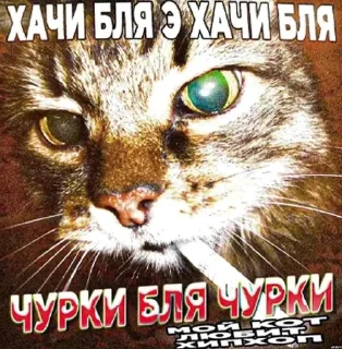 🌟 emoji нигермания Telegram sticker 23 of 37