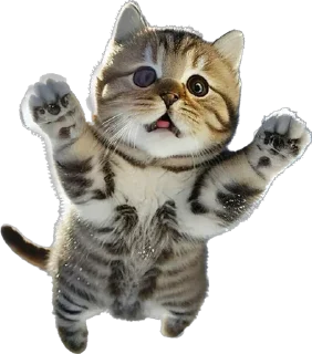 😶 emoji Мои стики Telegram sticker 6 of 99