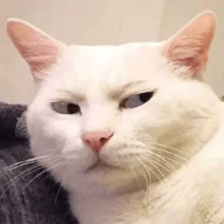 😑 emoji myshyk and friends Telegram sticker 13 of 48