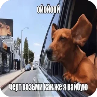 Sticker from Сосидж