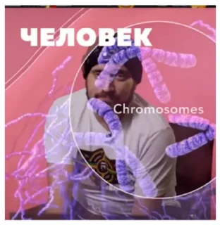 🧬 emoji Паша Техник Telegram sticker 14 of 42