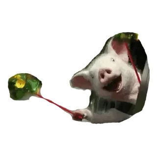 🥳 emoji My Little Pigs Telegram sticker 17 of 30