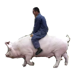 🤠 emoji My Little Pigs Telegram sticker 21 of 30