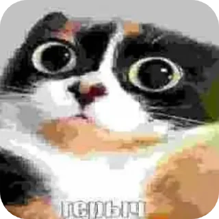 👍 emoji О да,наркомания автор ломатель трамваев Telegram sticker 1 of 52