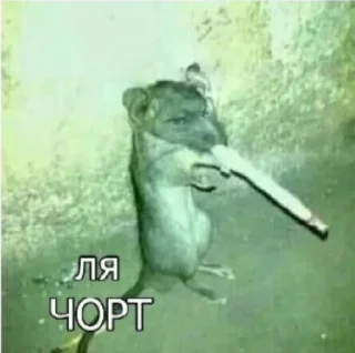 👹 emoji велика матуся Telegram sticker 6 of 40