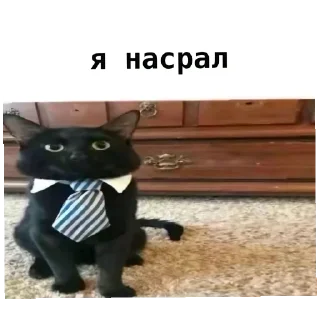 👍 emoji инвалидность 2 ➡️ @Ctikerubot Telegram sticker 16 of 54