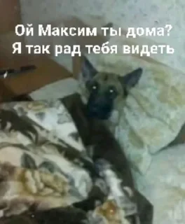 🌟 emoji ЛЮТЫЙ ПАК ФЕЗИЛОВА ДЛЯ ЕБЛИ…… Telegram sticker 11 of 112