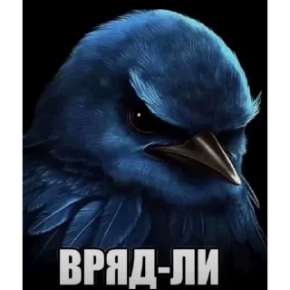 🦜 emoji птички delux edition Telegram sticker 1 of 66