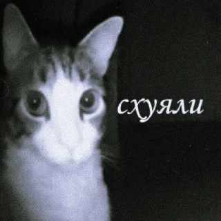 Sticker from пикчи