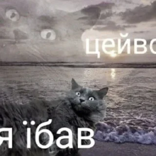 🇺🇦 emoji Memes images Telegram sticker 11 of 106