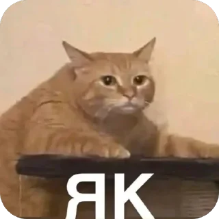 😳 emoji Memes images Telegram sticker 20 of 106