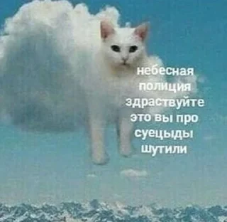 ❤ emoji котикс by дофамин🤟 Telegram sticker 1 of 85