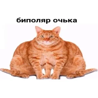 ⭐ emoji Рыжий Кошак Telegram sticker 12 of 43