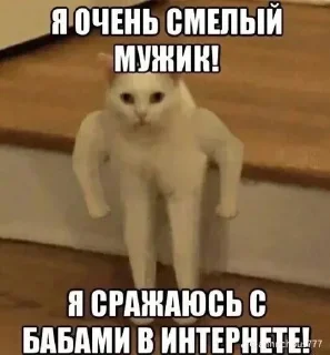 🙈 emoji долой мужланов Telegram sticker 8 of 55
