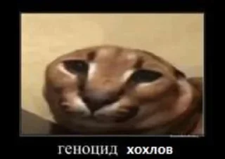 🔪 emoji Арсенал против хохлов Telegram sticker 13 of 75