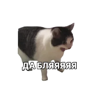 Sticker from Иосиф Сталин