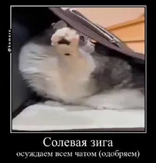 Sticker from @WmojiBot Комару @Femoji