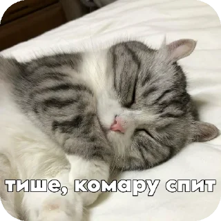 💤 emoji Комару :: @Chtoza_OX Telegram sticker 13 of 14