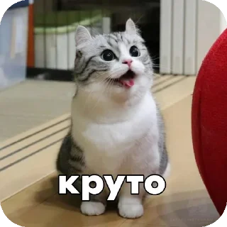 🙂 emoji Комару :: @Chtoza_OX Telegram sticker 11 of 14