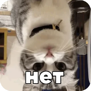Sticker from Комару :: @Chtoza_OX