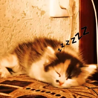 😴 emoji Бусинка Telegram sticker 5 of 16