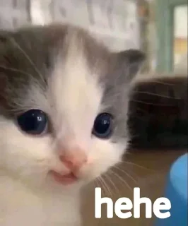 🙂 emoji Специально для SmaX'а Telegram sticker 16 of 44