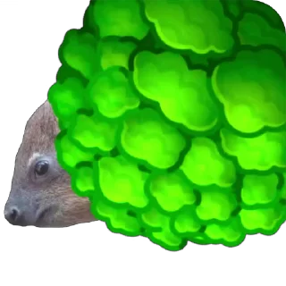🌚 emoji Cringed Telegram sticker 11 of 66