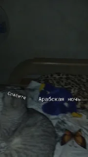 🌟 emoji Стики с хагичем Telegram sticker 19 of 47