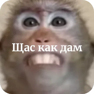 👍 emoji Шелби брад Telegram sticker 5 of 33