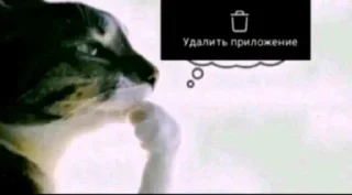 🤩 emoji Пикчи/Картинки с ТикТок @NikKatFUN Telegram sticker 13 of 120