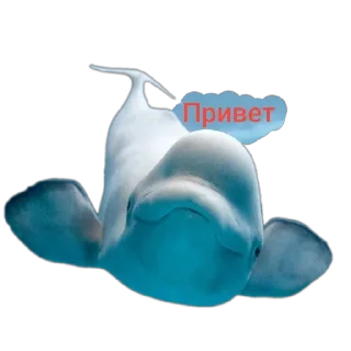 😕 emoji 🐟 рыбки 🐟 @StickersPackRobot Telegram sticker 10 of 55