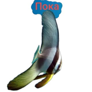🥺 emoji 🐟 рыбки 🐟 @StickersPackRobot Telegram sticker 13 of 55