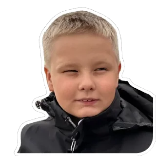 🤨 emoji Stepan Telegram sticker 6 of 6