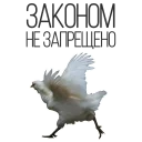 🐓 emoji Rooster Telegram sticker 19 of 37
