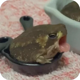 🫥 emoji Лягушка Telegram sticker 8 of 17