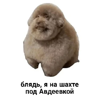 📈 emoji странствующая лягушка Telegram sticker 13 of 26