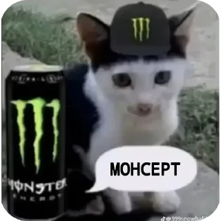 😺 emoji кошак Telegram sticker 9 of 25
