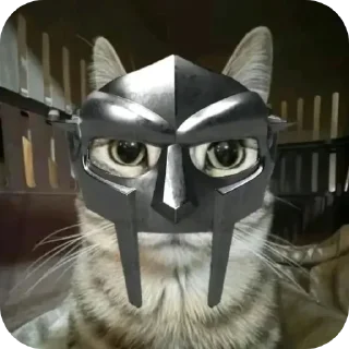 🐱 emoji Кошак даркончика Telegram sticker 11 of 66