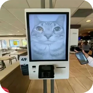 🐱 emoji Кошак даркончика Telegram sticker 21 of 66