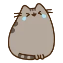 😂 emoji Animated Pusheen @IMG2D Telegram sticker 17 of 40